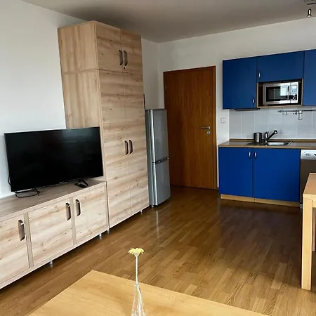 Salomon Apartamento *